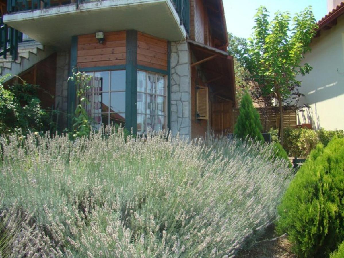 Molos  Zeus-Village Οικισμός Φινλανδικών Chalet Με Πισίνες & Γυμναστήριο חדר תמונה